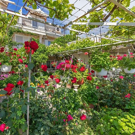 Apartments Galic Млини Екстер'єр фото